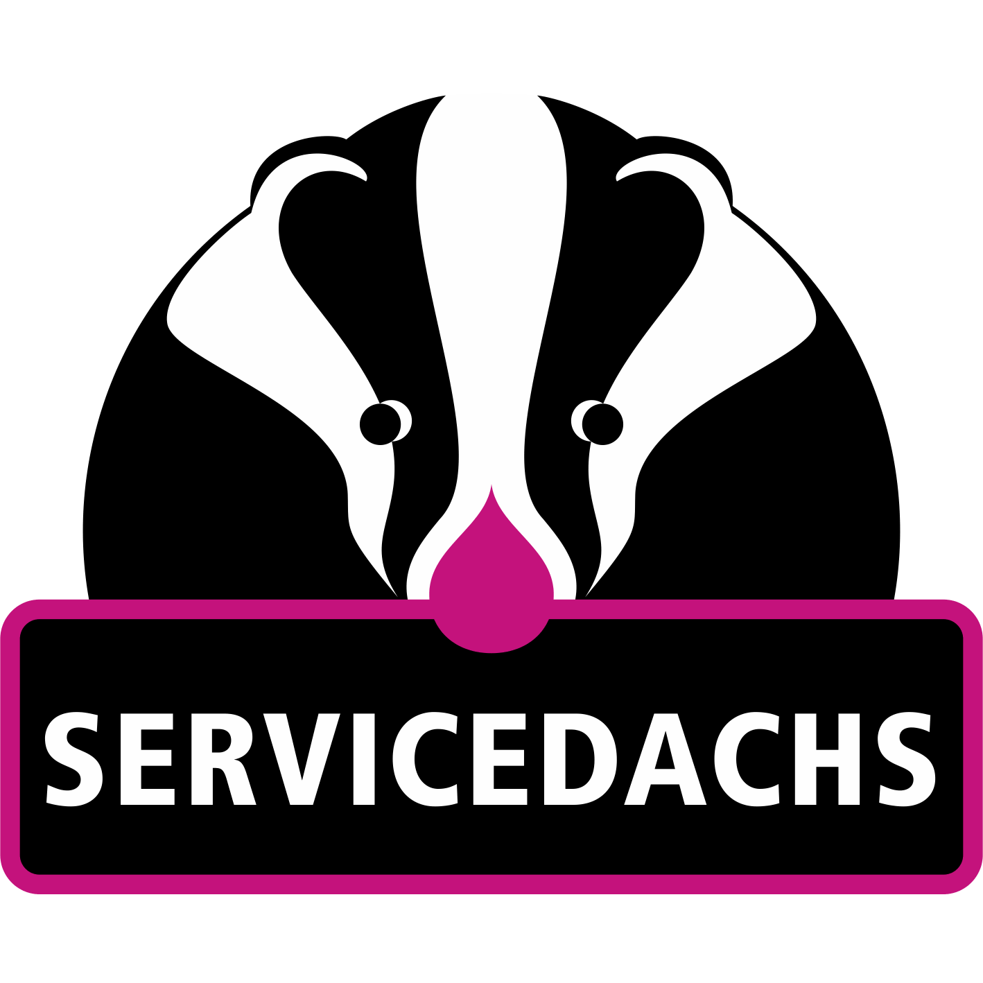 SERVICEDACHS